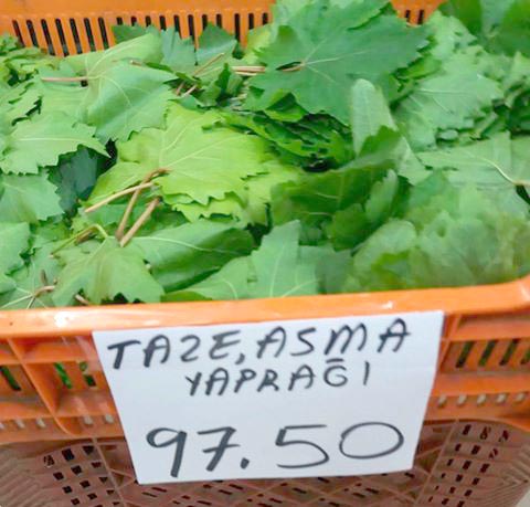 taze asma yaprağı