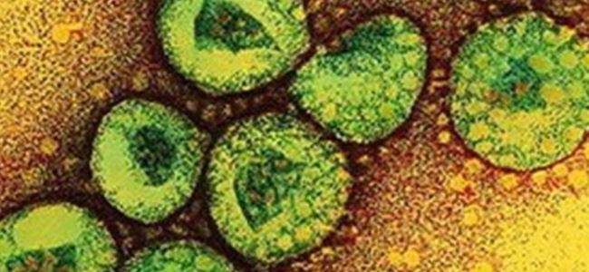 Suudi arabistan'da "corona virüsü"