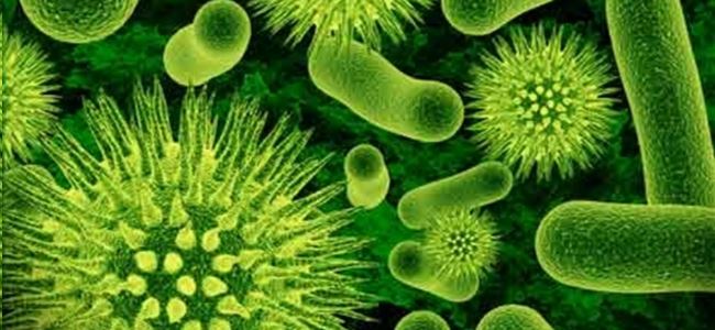 Kolera bakterisinin sır perdesini araladı