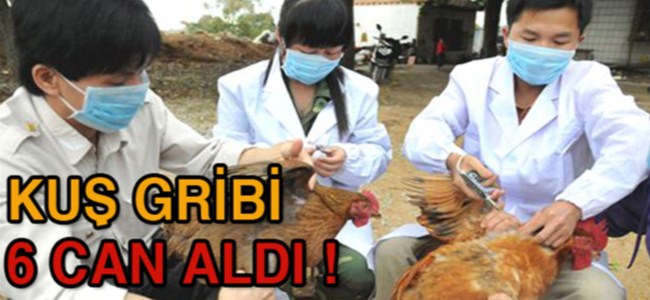 Çin'de kuş gribi yüzünden ölen sayısı 6'ya yükseldi !