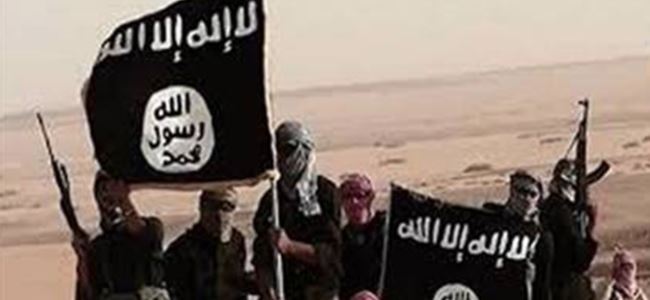 IŞİD'e karşı internet sitesi
