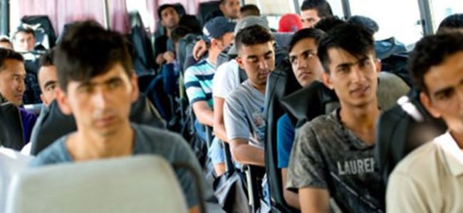 Otobüs şoföründen göçmen yolculara 'hoşgeldiniz' konuşması