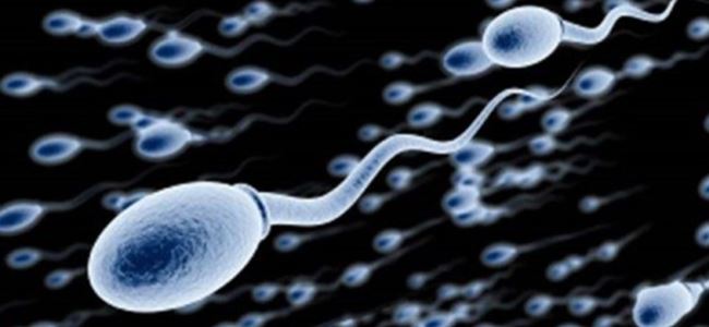 Laboratuvarda sperm ürettiler