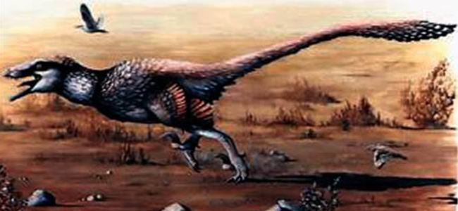 Orak tırnaklı yeni bir dinozor türü bulundu