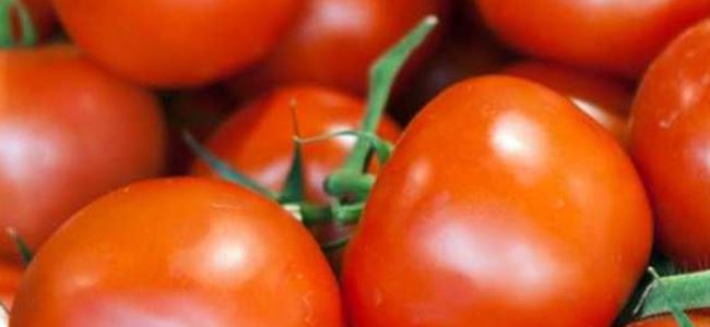 Bol domates tüket kanseri yok et!