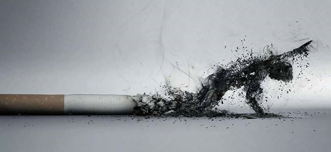 Sigara Mesane Kanserinin En Önemli Nedeni