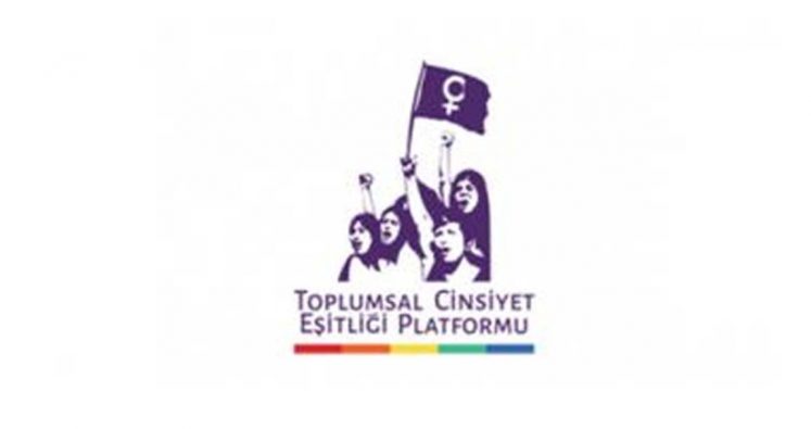 Toplumsal Cinsiyet Eşitliği Platformu