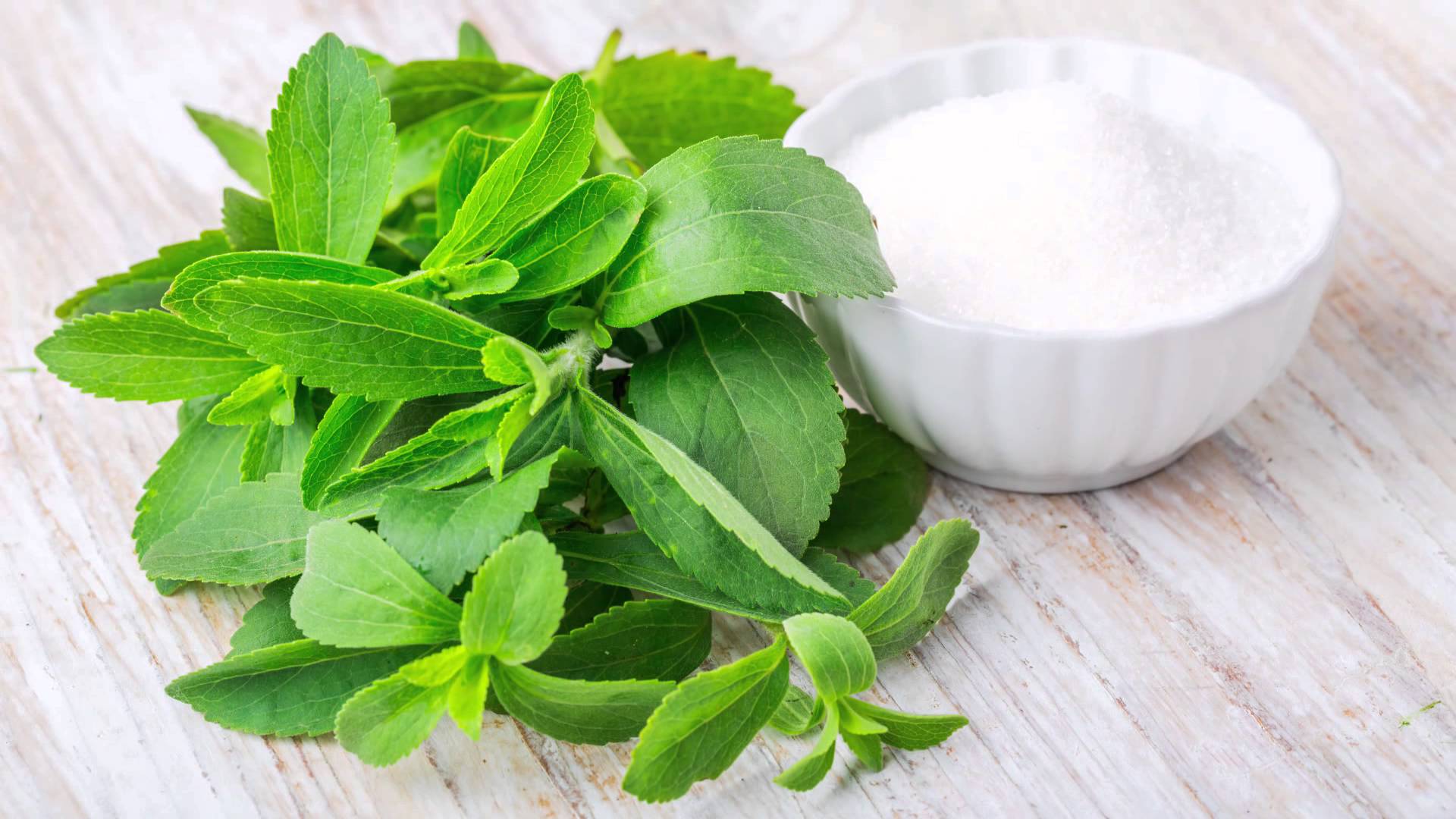 Stevia Bitkisi Nedir? Çeşitleri, Kullanımı, Faydaları ve Yan Etkileri
