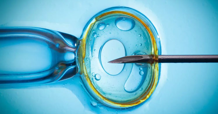 Tüp Bebek IVF (In Vitro Fertilization) Nedir?