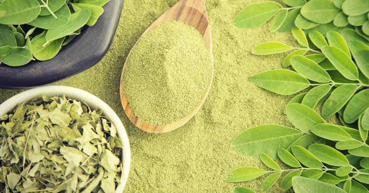 Moringa Çayı'nın Bilimsel Olarak Kanıtlanmış 10 Faydası