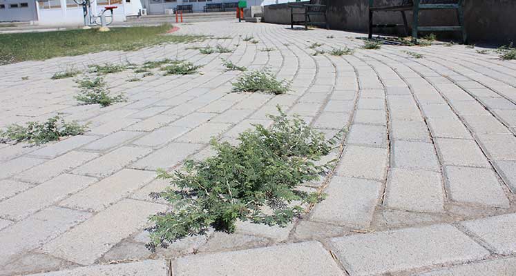 sanat parkı