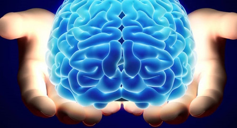 Beyin - Mini beyin - 3d beyin