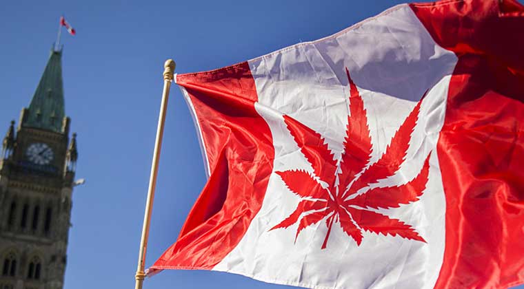 Kanada Marihuana