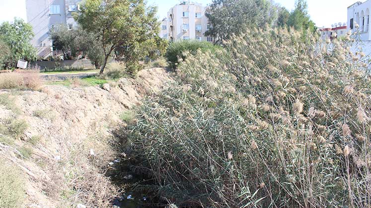 Lefkoşa dere yatağı 