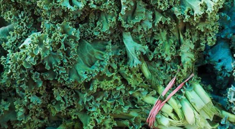kale-yaprağı