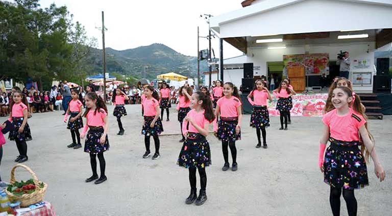 çilek 