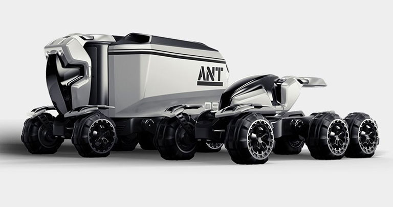 Ferox Ant