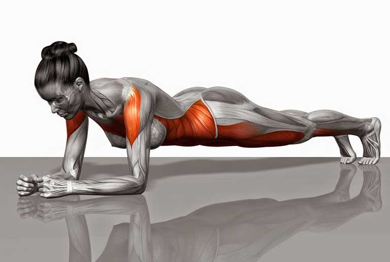 plank egzersizi
