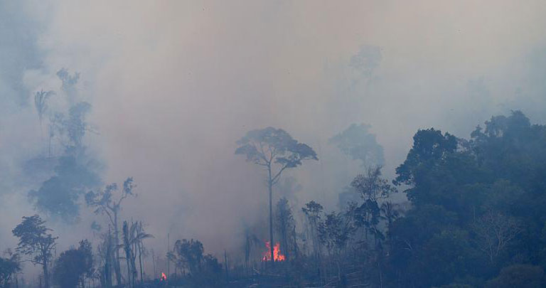 Amazon yangın
