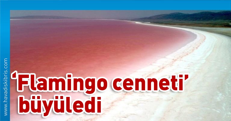 Türkiye'nin ikinci büyük gölü olan Tuz Gölü, suyun içindeki algler ve bakteriler nedeniyle pembe renk aldı. Göl, salgın nedeniyle ziyaretlerden mahrum kaldı