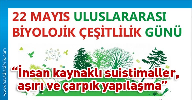 Sarpten, 22 Mayıs Uluslararası Biyolojik Çeşitlilik Günü dolayısıyla yayımladığı mesajda, Kıbrıs’ın bir ada ülkesi olmasına rağmen çok sayıda canlı türüne ev sahipliği yaptığını hatırlattı.