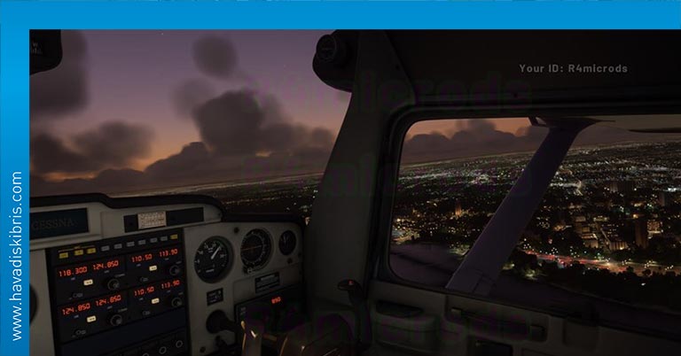 Microsoft Flight Simulator