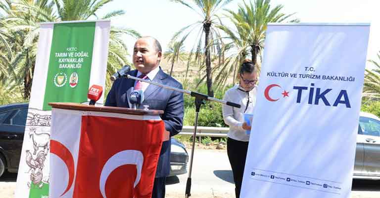 Lefke Hurma ağaçları