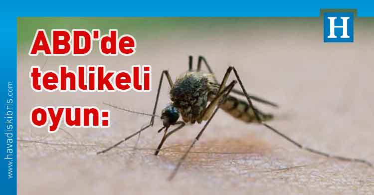 ABD, sivrisinek, genetiği değiştirilmiş 750 milyon sivrisinek, Florida Keys Sivrisinek Kontrol Bölgesi, zika, dang humması, sarı humma,
