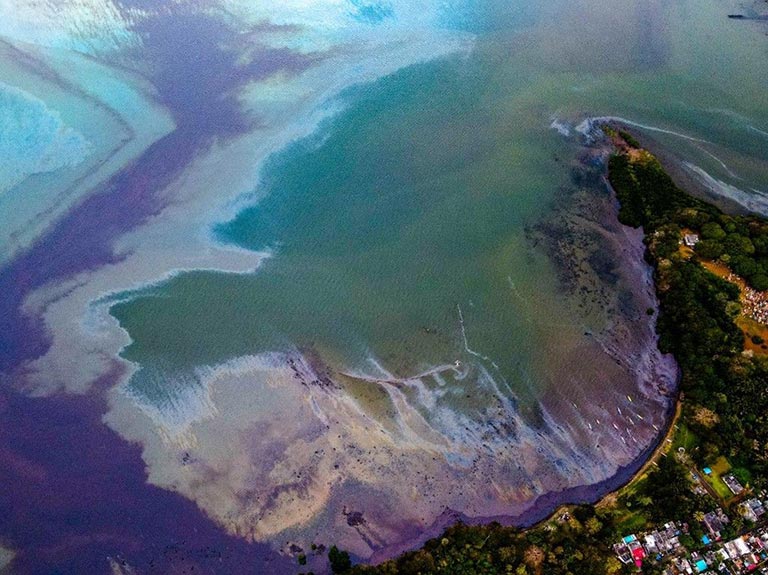 Mauritius çevre felaketi