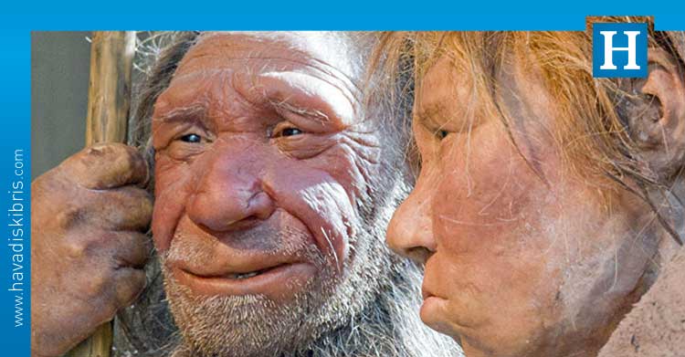 Neandertaller