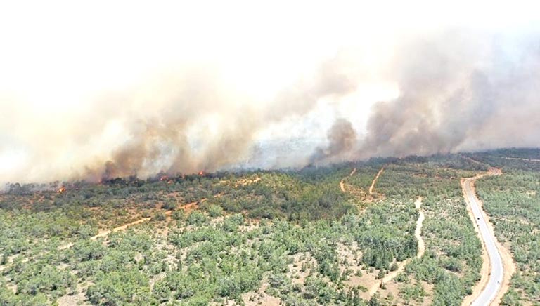 KKTC orman yangınları 