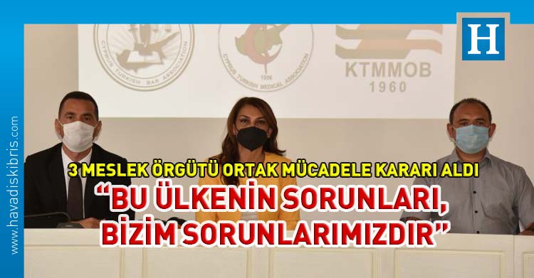 Tabipler Birliği, Türk Barolar Birliği Mühendis ve Mimar Odaları Birliği ortak mücadele
