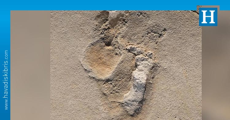 Dünyanın bilinen en eski insansı ayak izi