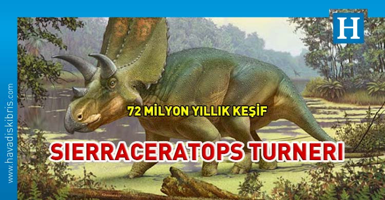 Sierraceratops turneri