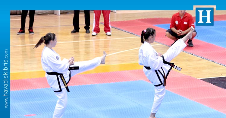 Taekwondo Karate Judo Federasyonu
