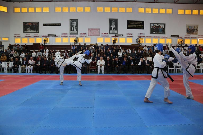 Judo-Federasyonu