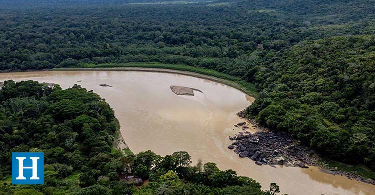 Amazon-yağmur-ormanları