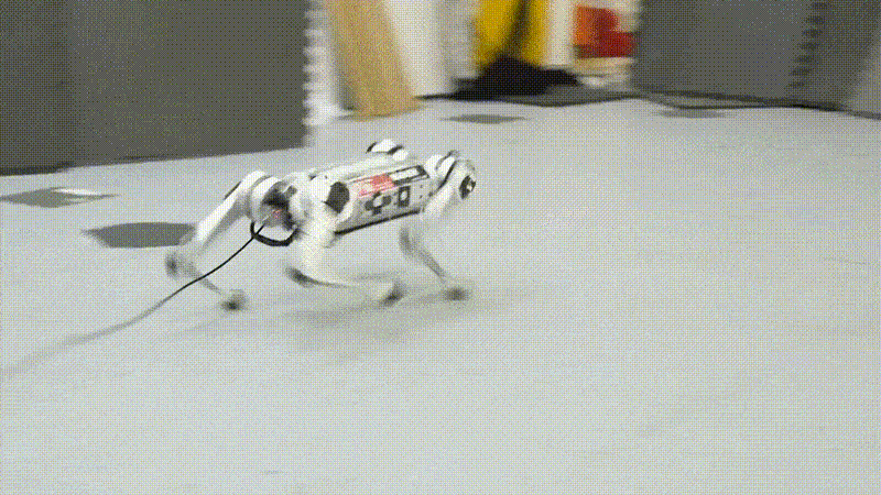 Mini cheetah