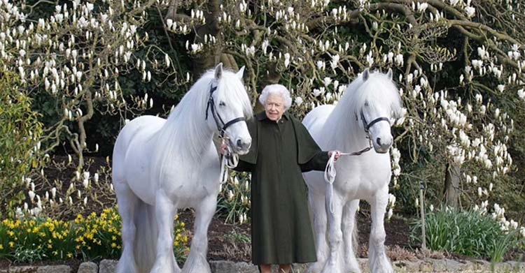 Birleşik Krallık'ın en uzun süre tahtta bulunan ismi olan Kraliçe 2. Elizabeth bugün 96 yaşını kutluyor.