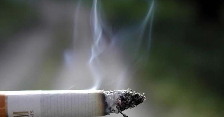 riski azaltılmış sigara ve tütün ürünleri
