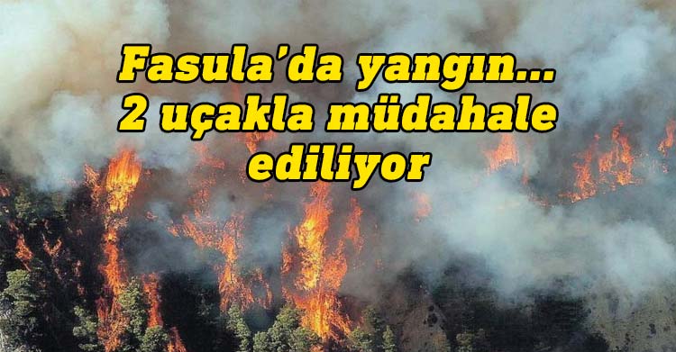 Güney Kıbrıs yangın