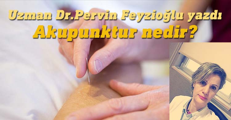 Dr.Pervin Feyzioğlu