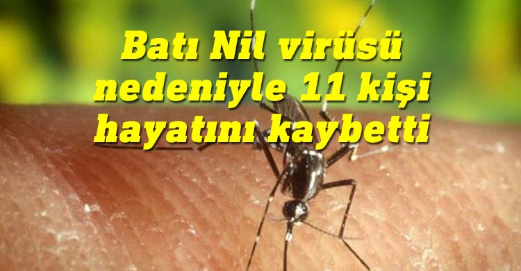 Yunanistan’da Batı Nil virüsü alarmı: 11 ölü, 123 vaka