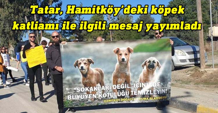 Tatar, Hamitköy’deki köpek katliamı ile ilgili mesaj yayımladı