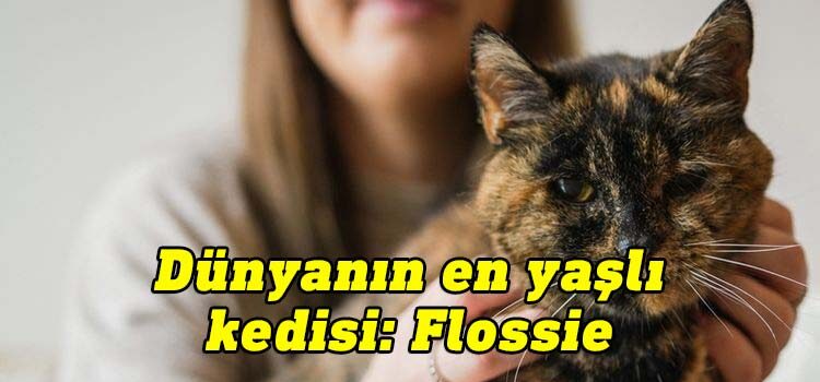 İngiltere’nin başkenti Londra'da 26 yaşındaki Flossie isimli bir kedi, "dünyanın en yaşlı kedisi" unvanıyla Guinness Rekorlar Kitabı’na girdi.