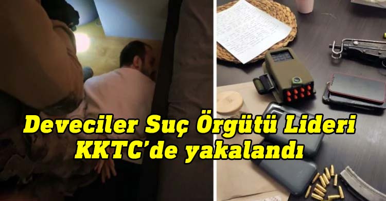 KKTC ve Türkiye'de 'Deveciler' suç örgütüne operasyon!