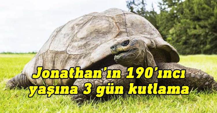 Dünyanın en yaşlı kaplumbağasına 3 gün 3 gece doğum günü partisi
