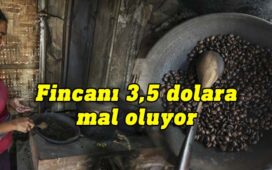 Dünyanın en pahalı kahvesi Luwak: Kilosu bin dolar