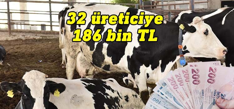 Hayvanları Brucella’dan zarar gören üreticiler tazmin edildi, 32 üreticiye 186 bin TL ödendi.