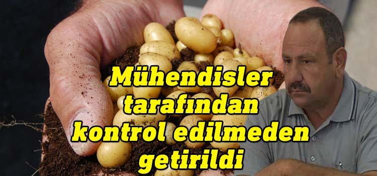 Kıbrıs Türk Patates Üreticileri Birliği Engin Halkseven,